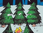 Christmas Tree Murder