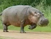 After Some Reflection, Jim changed his mind