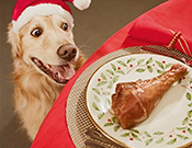 For Me? You Shouldn't Have