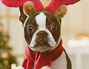 Me After Hanging Christmas Lights