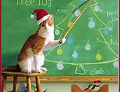 Kitty Christmas 101