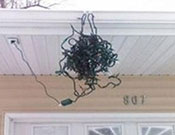 Merry Christmas. Let's Do Better Next Year